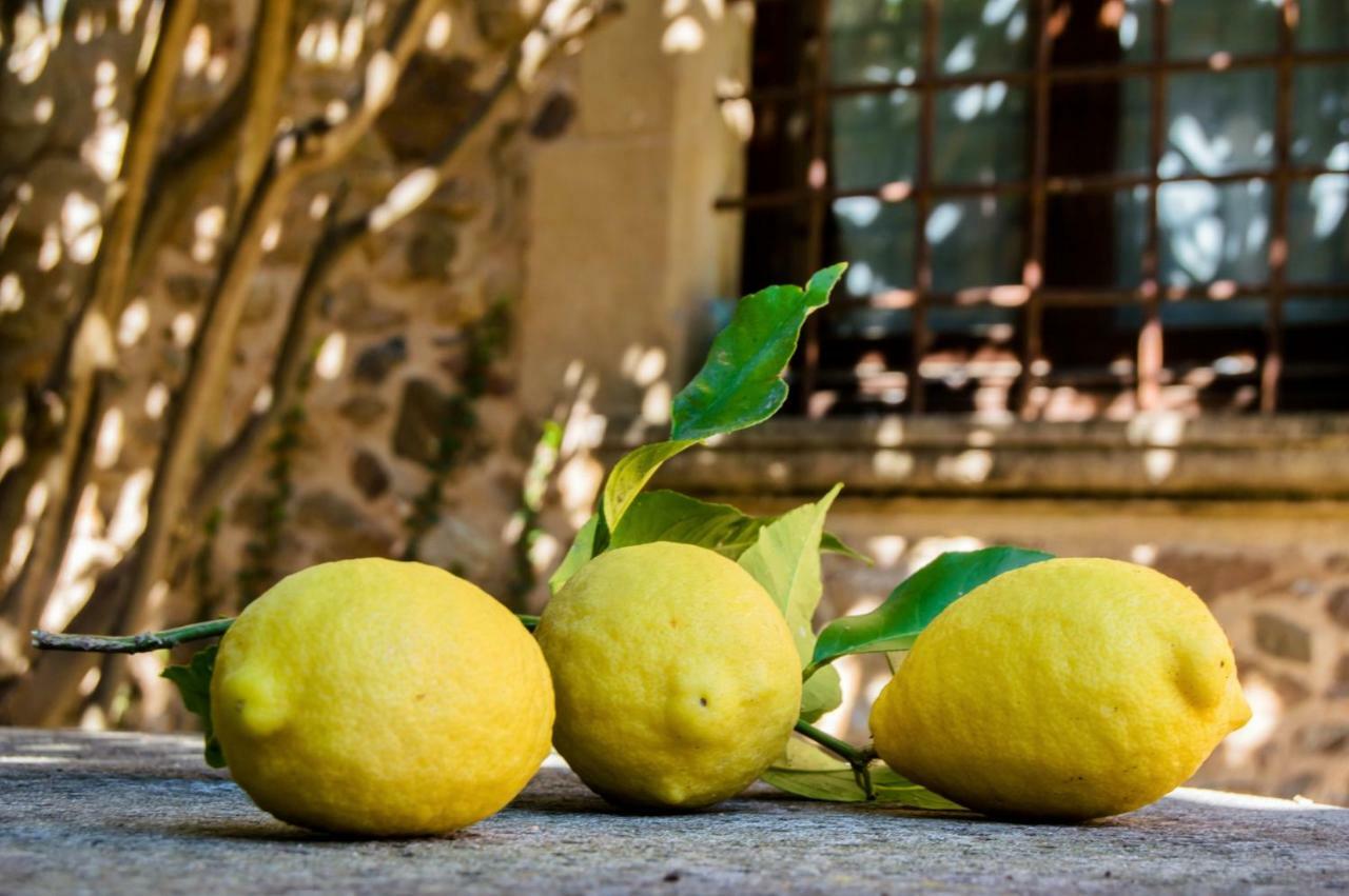 Turisme Rural - Mas Vila - Monells La Bisbal d'Emporda ภายนอก รูปภาพ